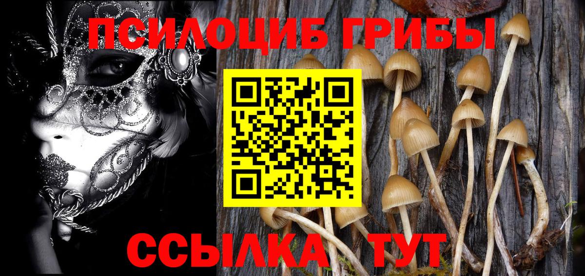 Галлюциногенные грибы MAGIC MUSHROOMS  Вход с VPN  Качканар  даркнет сайт  Галлюциногенные грибы мухоморы 